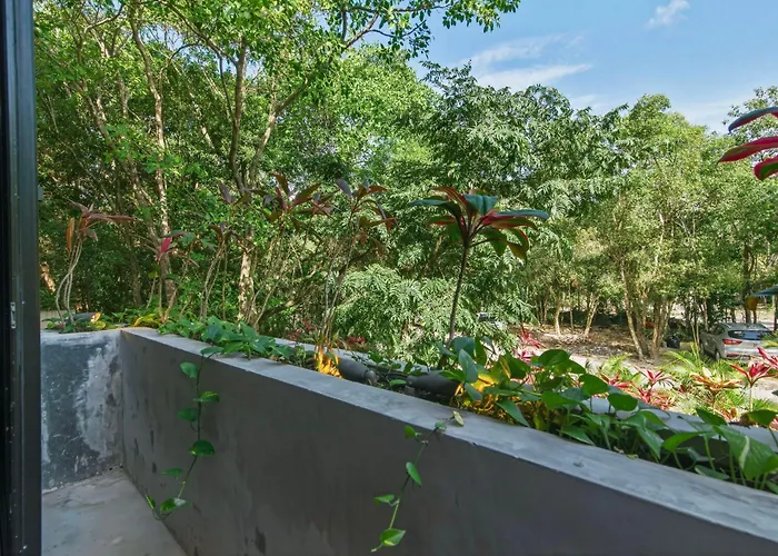 Luxury 4 Bedroom In Aldea Zama Near And Downtown With Private Pool Jacuzzi And Sauna Tulum